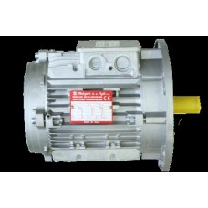 Dry motor for Homelift 50Hz, Dry motor 3AC, 1.8 kW